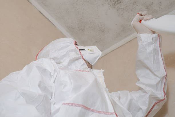 Best Attic Mold Removal  in Moundridge, KS